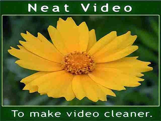 download neat video plugin for mac free